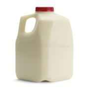 Whole Milk