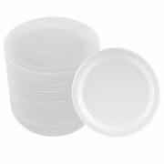 Paper Plate