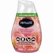 Renuzit Gel Air Freshener
