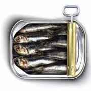 Sardines Regular
