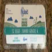 Nulaid Jumbo White Eggs