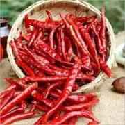 DEEP WHL CHILLI BYADGI