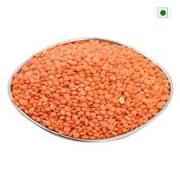 Masoor 