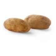RUSSET POTATO BAG