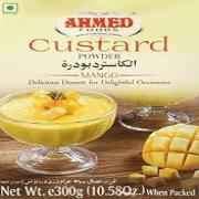 MANGO CUSTARD