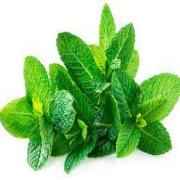 MINT BUNCH