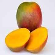 MANGO KENT/ HEDAN