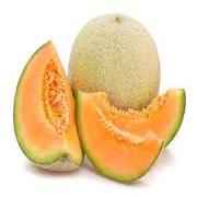 CANTALOUPES