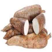 YUCA