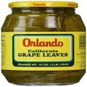 Orlando California Grape Leaves
