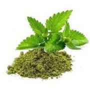 Dhanraj Tulsi Powder