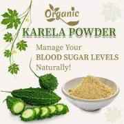 Organic Karela Powder