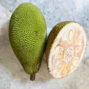 Dhanraj Young Green Jackfruit