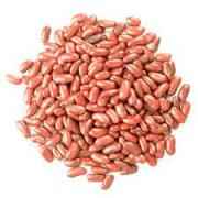 Dhanraj Light Kidney Beans