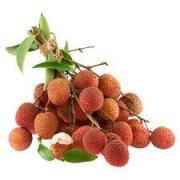 LYCHEE