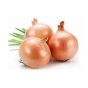 ONION YELLOW