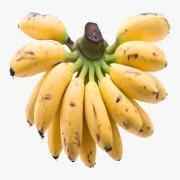 BANANA SABA