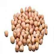 DEEP RAW PEANUT SMALL