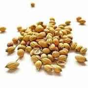 Himalayan Dry Coriander 