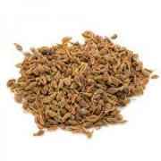 EASTERN FESTANISE SEEDS