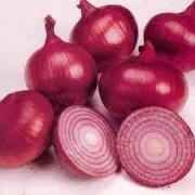 Red Onion Bag