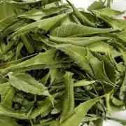 KESHAV NEEM LEAVES