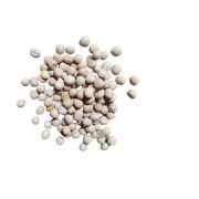 Radhey White Soya Bean