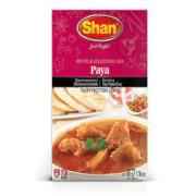 Shan Paya