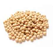 Radhey Soya Bean