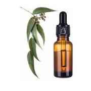 Eucalyptus Oil 