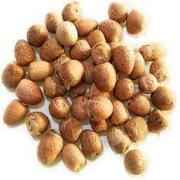 Pooja Nut Tukda 