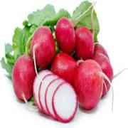 RED RADISH