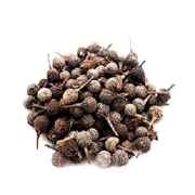 VS VAVDING EMBELIA RIBES