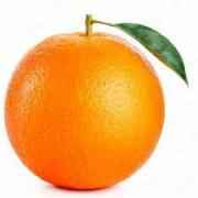 ORANGE FRUIT