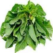 AMARANTH LEAVES RED