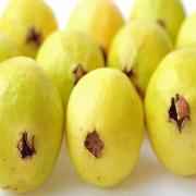 Mexican Guava