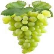 GRAPE GREEN