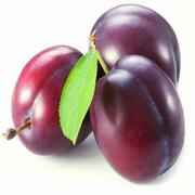 PLUM RED