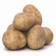 POTATO LOOSE