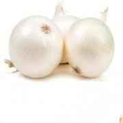 ONION WHITE