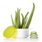Aloe Vera Face Wash