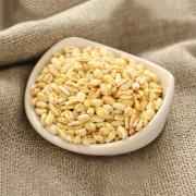 Gazab Haleem Wheat