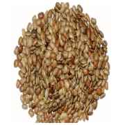 Gazab Horse Gram