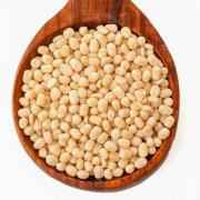 Gazab Urad Gota