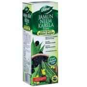 Dabur Jamun Juice