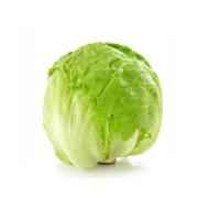 Lettuce Cello