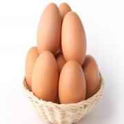 Brown Eggs