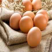Organic Large Eggs
