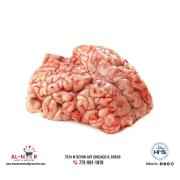 Zabiha Halal Lamb Brain