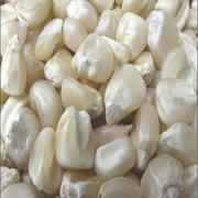Asli Whole White Corn